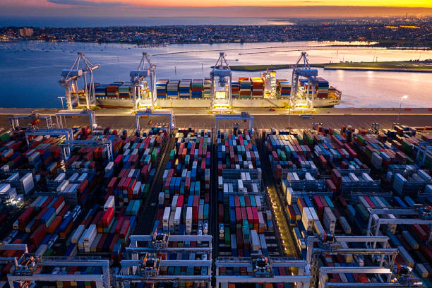 Sunset view of a vast container terminal | Sea Freight Transport | Tasman Logistics Services