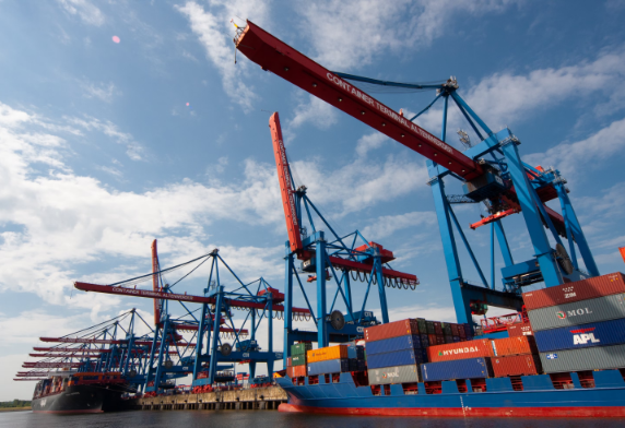 Vast container terminal | Sea Freight Transport | Tasman Logistics Services