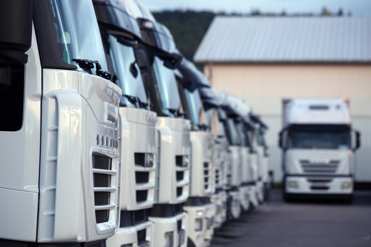 Line of white trucks parked in a lot | Road Transport Australia | Tasman Logistics Services