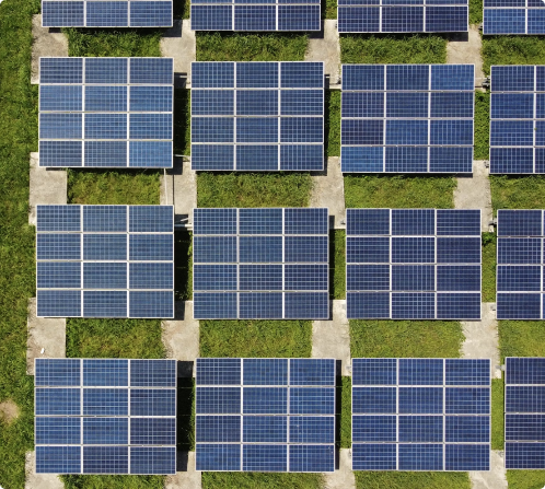 Solar panels in a field | Project Logistics | Tasman Logistics Services