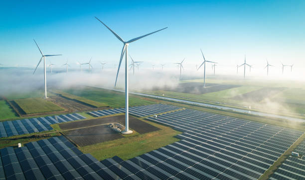 Wind turbines and solar panels | Project Logistics | Tasman Logistics Services