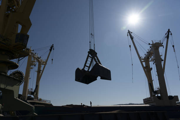 Lift crane silhouette | Flex Warehouse Space | Tasman Logistics Services